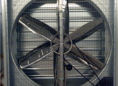 點擊查看詳細(xì)信息<br>標(biāo)題：Heavy Hammer Type Animal Husbandry Fan 閱讀次數(shù)：1659