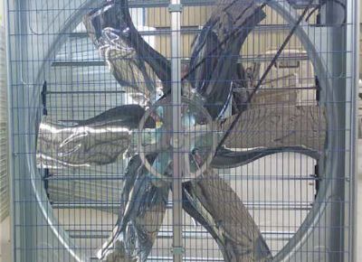 點擊查看詳細(xì)信息<br>標(biāo)題：Push Pull Negative Pressure Fan 閱讀次數(shù)：1546